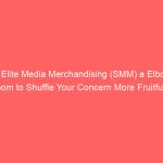 Is Elite Media Merchandising (SMM) a Elbow room to Shuffle Your Concern More Fruitful?